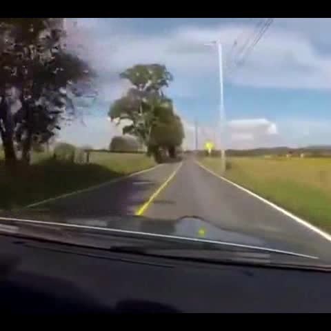 本来还觉得自己开得挺快的，然而来了一辆跑车，瞬间弱爆了  ​