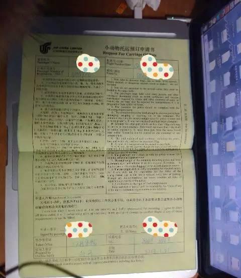 办好这些证件，宠物托运其实没你想的那么难！