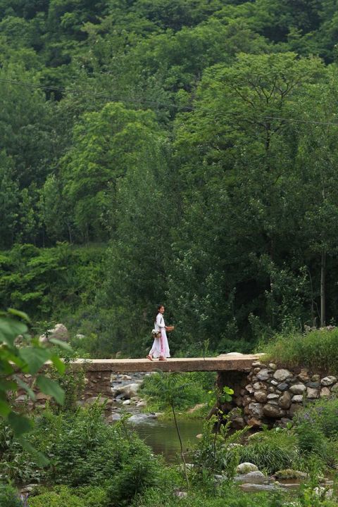 摄影师隐居深山老林曾引起热议, 现如今人们却向往女孩的生活