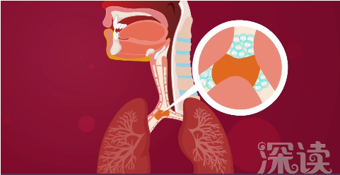 每年3000名儿童被噎死,另类解读海姆立克急救法就是“顶你的肺”