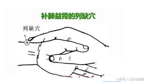 专治头颈问题奇穴--列缺穴