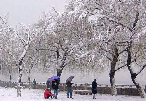 冬天大脚趾裂口子怎么办 脚趾头裂开口子怎么