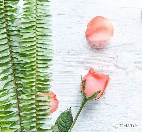 李希贵:教师是托起太阳的人,让学校的每一个