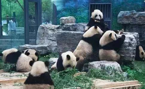 重磅！扬州要新建动物园了！地址在这里…