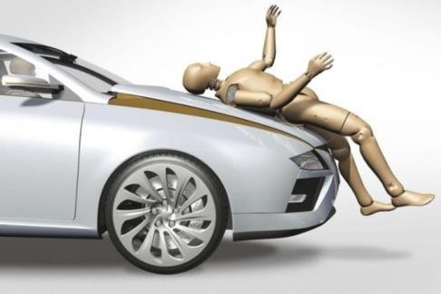 轿车碰鸡安全气囊弹开损失三万，鸡没事，这碰到的是战斗鸡？