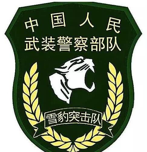 列举中国特种部队的臂章标识,看看你能认出几个来?