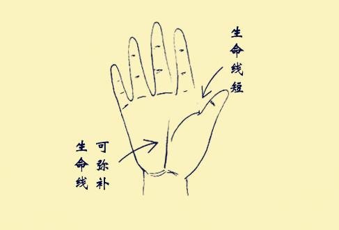 生命线短不要怕现在就教你几招如何弥补的方法