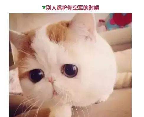钓鱼人的那些表情，看看你中了几个