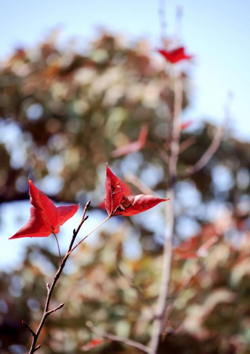 湖南湘潭破坏生态刑事附带民事公益诉讼案一审