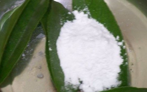 家里盆栽掉落的叶子不要扔,用来做叶脉书签,简