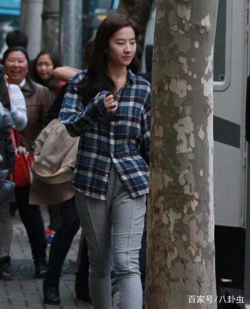 网友偶遇刘亦菲图片