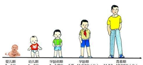 宝宝成长的各个阶段的教育和特征!