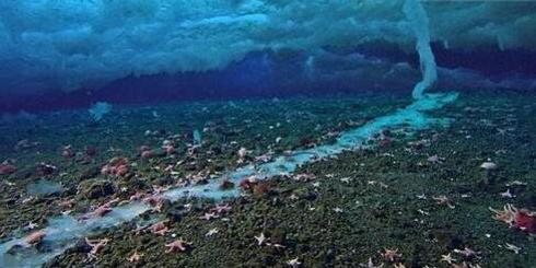 世界上真的存在死亡冰柱 所到之处的海洋生物都被冻死