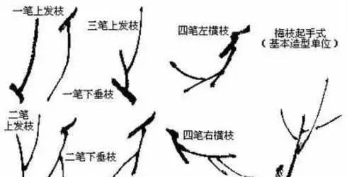 国画技法丨梅花画法大全