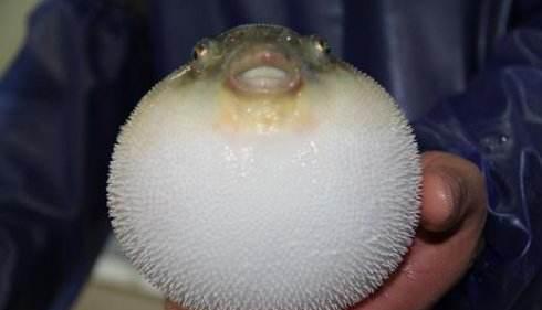 中国首批对外开放城市,现为新二线城市,是江苏