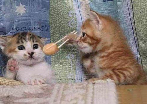 开心一笑:短笑话