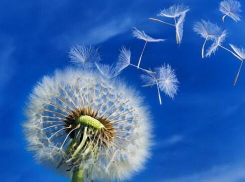 感悟人生:懂得珍惜,才会长久;知道感恩,才配拥有