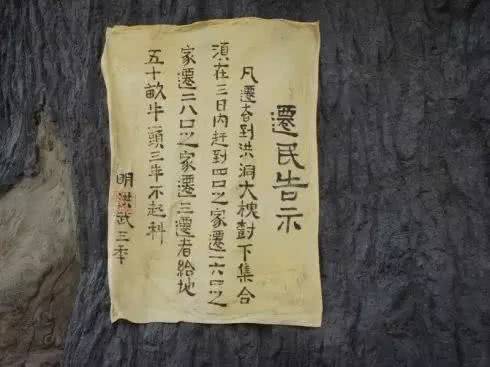 山西洪洞大槐树移民真相深度揭秘 震惊!山西洪洞大槐树移民真相深度揭秘