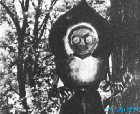 世界十大神秘生物 你见过几种?