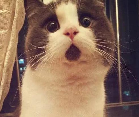 手机打麻将,微信红包结账,涉嫌赌博!来宾人你还