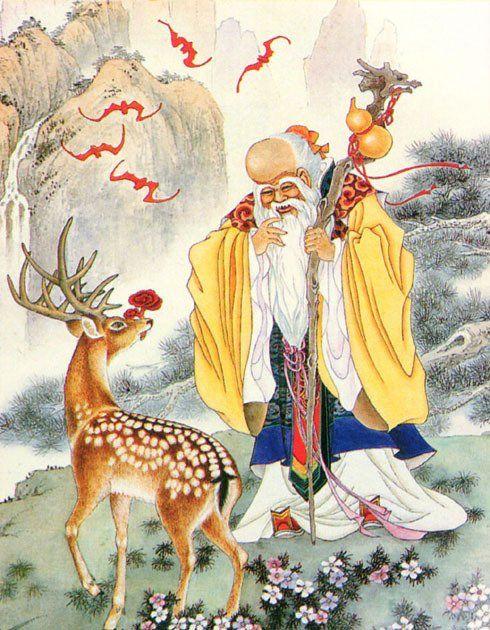 书生见到了最后一个快要死的神仙, 才知道神仙都消失