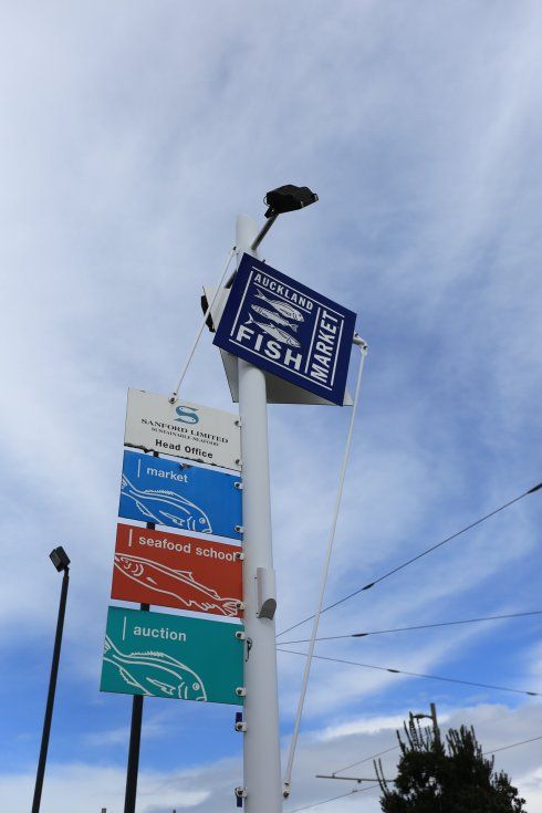 游新西兰奥克兰海鲜市场,吃超大龙虾、海胆和