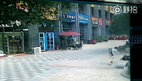 柳州男子因矛盾持长刀当街砍死前妻 嫌疑人已被抓获