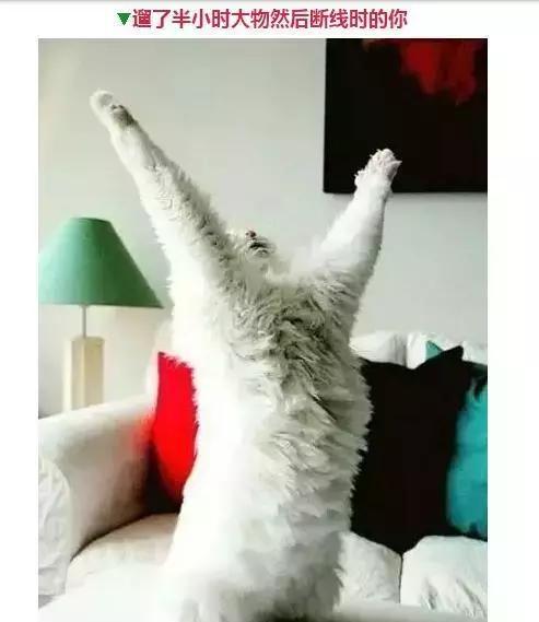 钓鱼人的那些表情，看看你中了几个