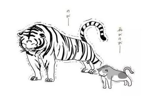 很久之前有只老虎拜师喵咪,猫做什么他做什么