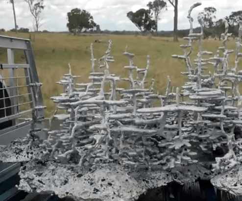 男子将200公斤高温铝水灌进蚂蚁巢穴, 没想到挖开后是这样