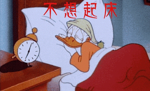 专治赖床的魔毯,随身健身房,撒币枪,拯救你的节后综合