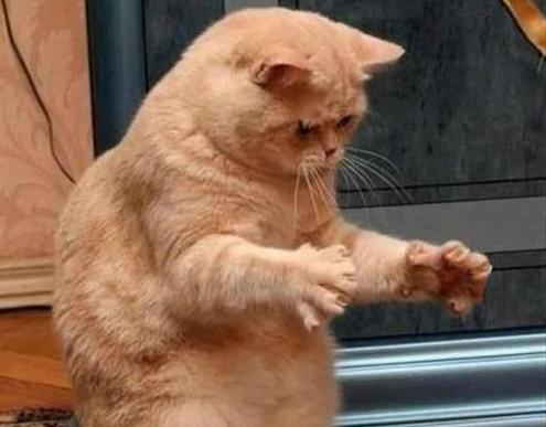 搞笑段子图:哥们,你这样做完美地避免了办公室分零食