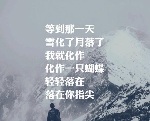 歌曲《最美的情缘》唱出背后的故事