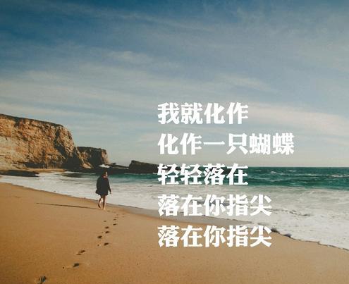 歌曲《最美的情缘》唱出背后的故事