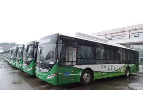 是否限行?摆渡车路线?停车位在哪?自贡灯会交