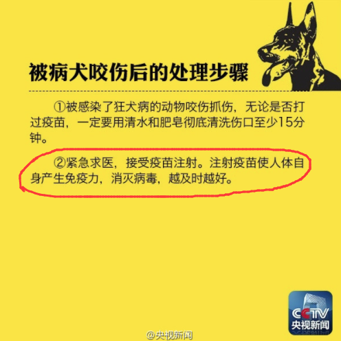 学狗叫就是得了狂犬病?网友:被法国人咬一口我还就会法语了呢!