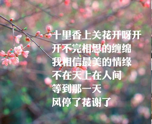 歌曲《最美的情缘》唱出背后的故事