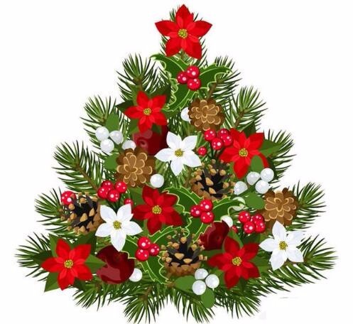 圣诞节用过的松塔扔花盆,只需用1年的时间,就