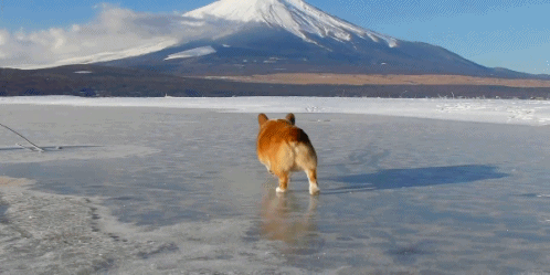 你还在激动地晒雪景?赶紧这样做