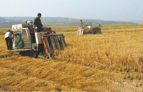 2018农村大动作!土地征拆补偿大幅提升,宅基地