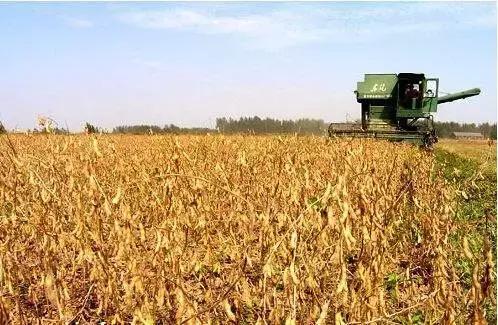 2018年大豆种植补贴定了!这些大豆优质新品种