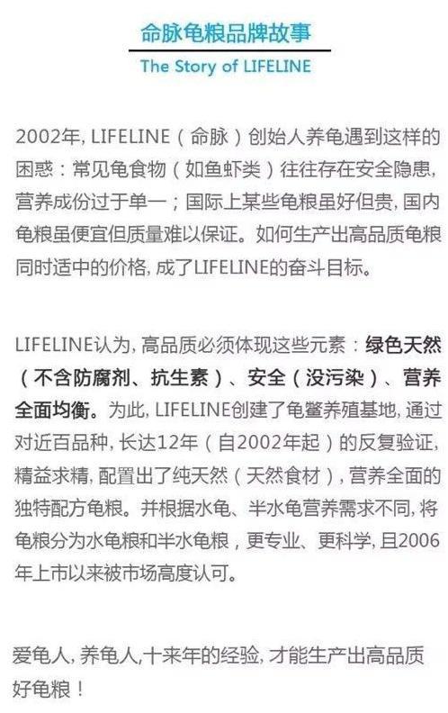 锯缘摄龟饲养的三点注意事项