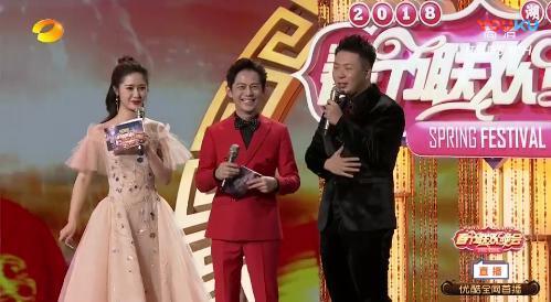 央视春晚直播主持人口误_央视春晚主持人佟丽娅(2)