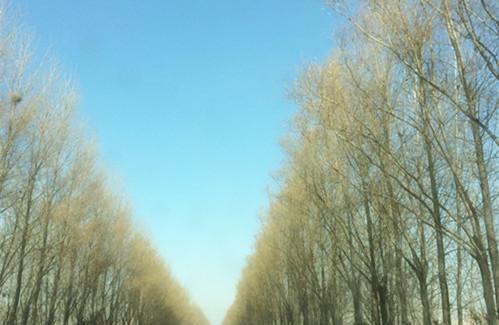 还没买车的有福啦!电动汽车2018年补贴新政策