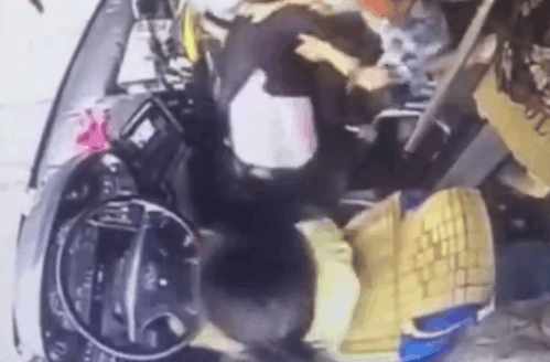 小天才宝物电脑有什么优势