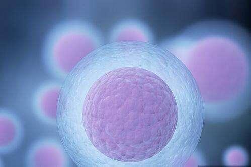 为何美国试管婴儿成功率比国内高50%+? 从三