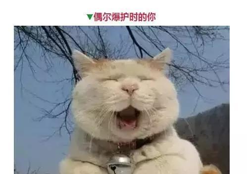 钓鱼人的那些表情，看看你中了几个