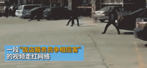 普陀山多家饭店争相揽客:姿势夸张爆笑