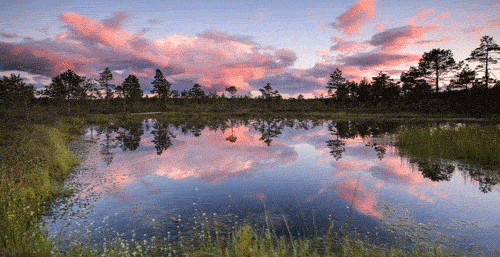 如果天气回暖,在野外露营一晚应该不错,春风沉醉,春水初生.
