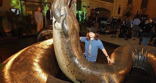 地球上10大史前巨兽，第一梅尔维尔鲸，第三野猪鳄，第九远古蜈蚣